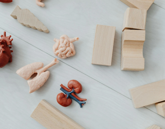 Photo by Photo By: Kaboompics.com from Pexels: https://www.pexels.com/photo/wooden-blocks-near-toy-body-parts-7269618/