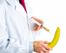 Caucasian male doctor dressed in white coat, blue shirt and red tie is making an injection to a banana with a syringe full of pills