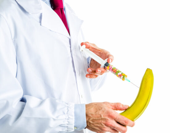 Caucasian male doctor dressed in white coat, blue shirt and red tie is making an injection to a banana with a syringe full of pills