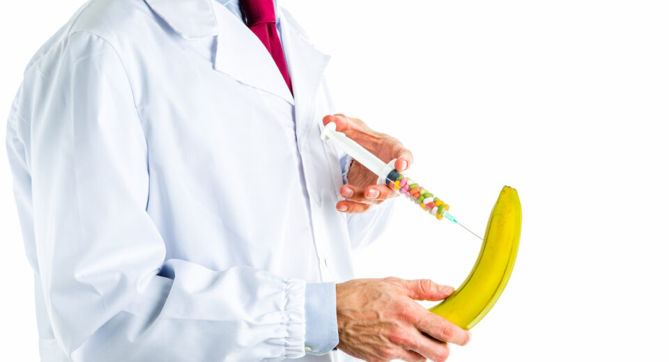 Caucasian male doctor dressed in white coat, blue shirt and red tie is making an injection to a banana with a syringe full of pills