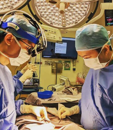 Dr Lee Kuok Chung (SG) - Colonoscopy