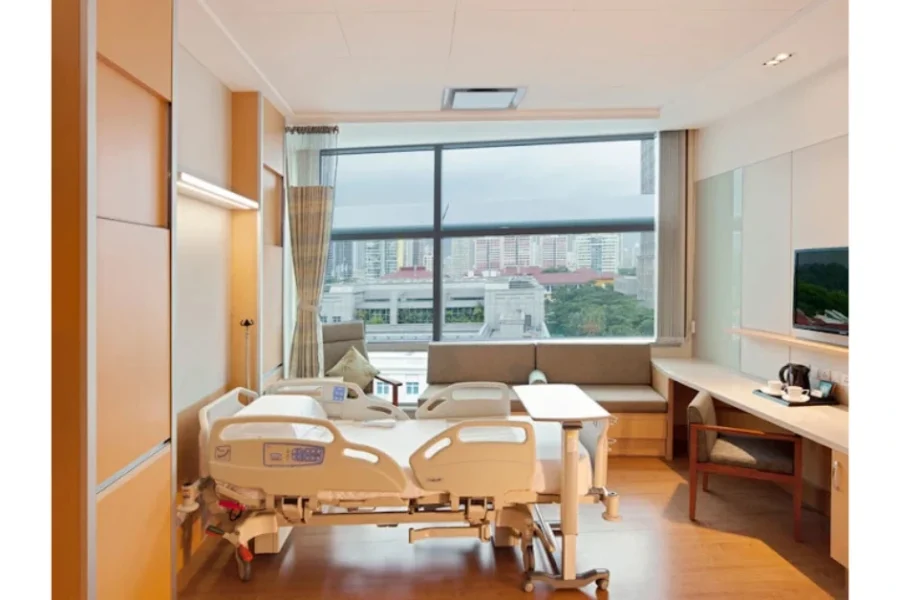 Mount Elizabeth Hospital