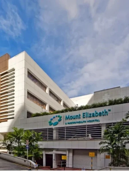 Mount Elizabeth Hospital