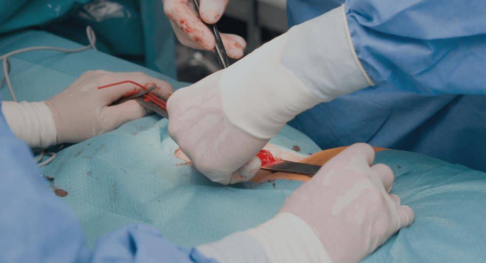 Prudential Panel Hernia Surgeons in Singapore