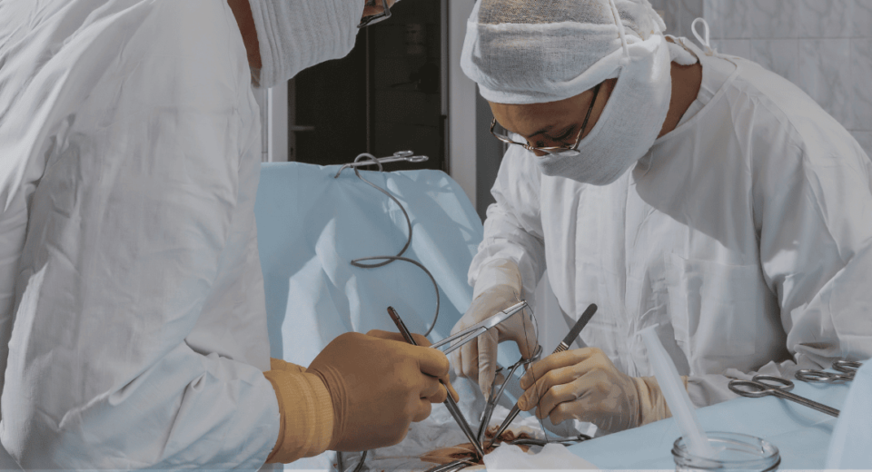 Singlife Panel Hernia Surgeons in Gleneagles Hospital