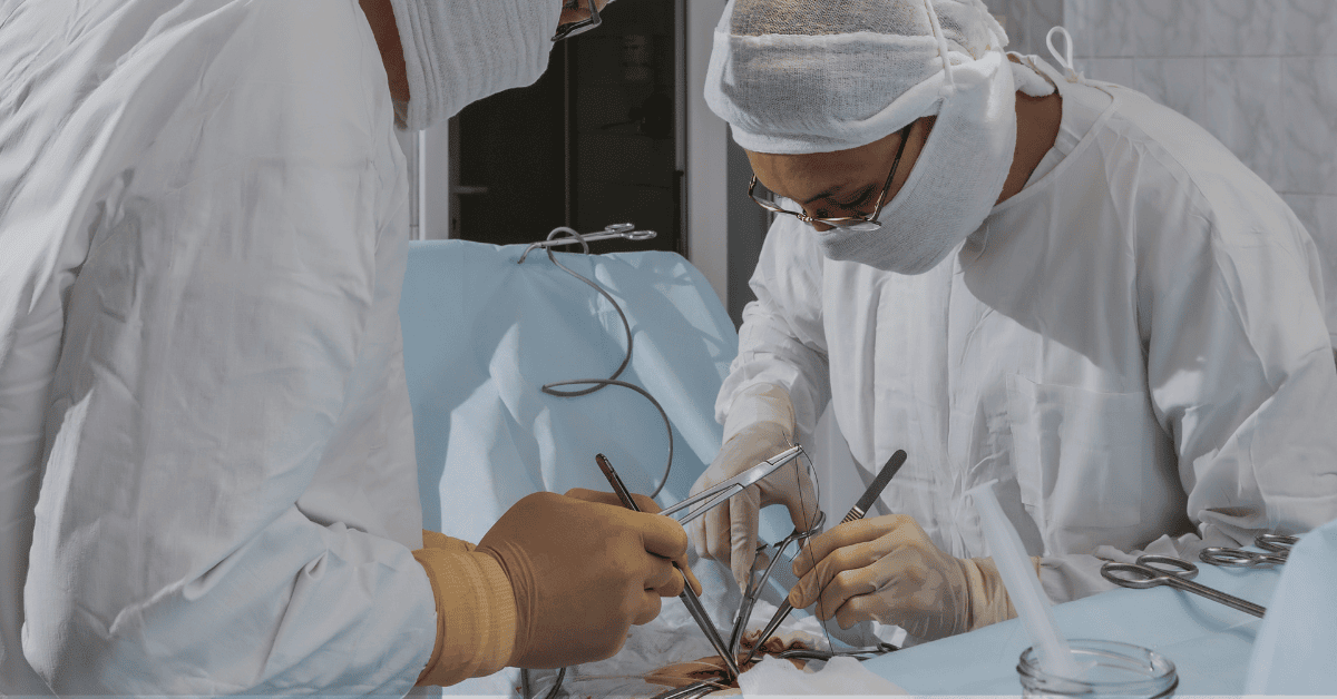 Singlife Panel Hernia Surgeons in Gleneagles Hospital