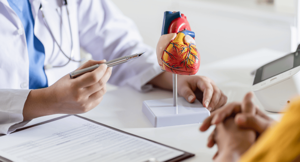 Singlife Panel Cardiologists in Gleneagles Hospital