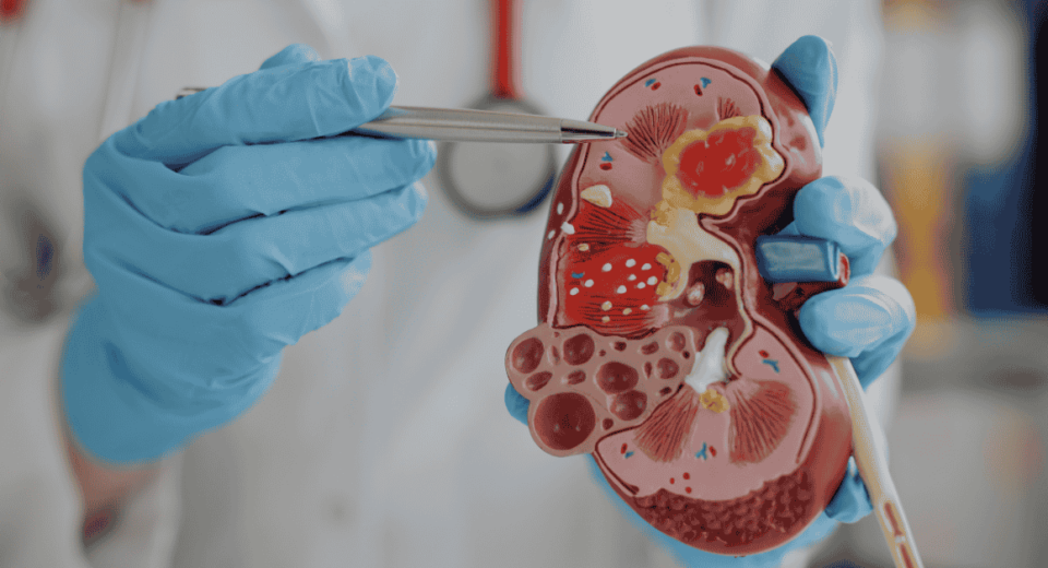 Prudential Panel Urologists in Mount Alvernia Hospital
