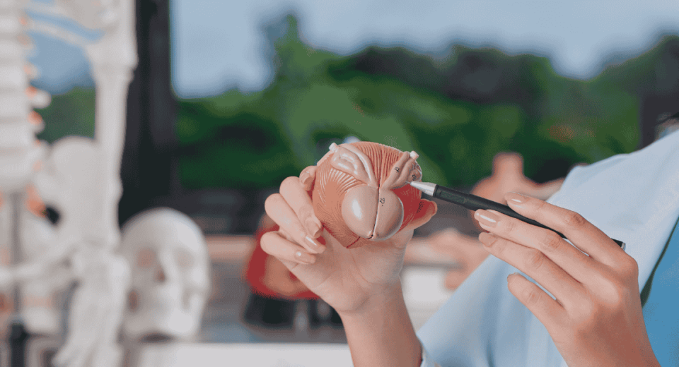 Bladder Cancer Treatment Costs and Insurance Coverage in Singapore