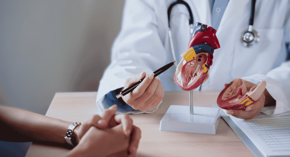 HSBC Panel Cardiologists at Mount Elizabeth Hospital