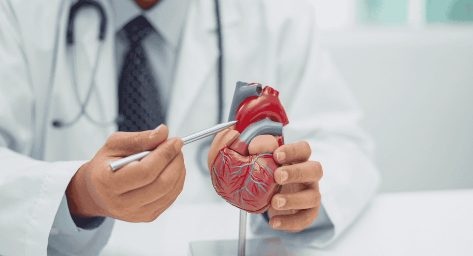 HSBC Life Panel Cardiologists at Mount Alvernia Hospital