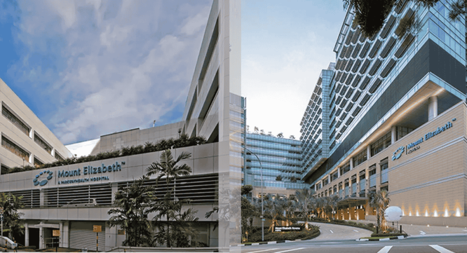 Mount Elizabeth Hospital and Mount Elizabeth Novena Hospital