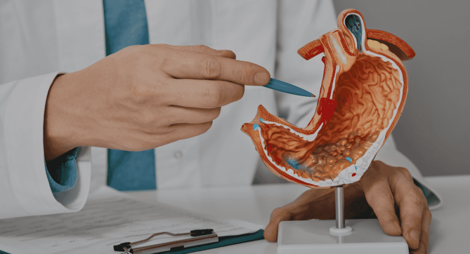 Singlife Panel Gastroenterologists in Gleneagles Hospital