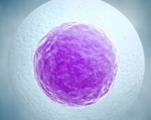 egg freezing singapore