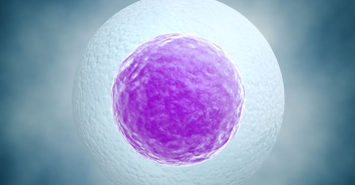 egg freezing singapore
