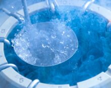 how much to freeze eggs singapore