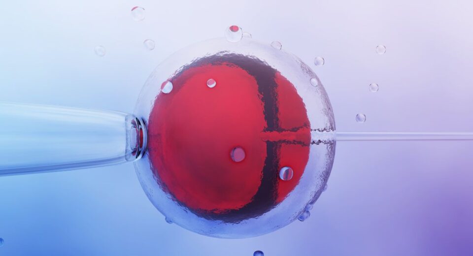ivf treatment