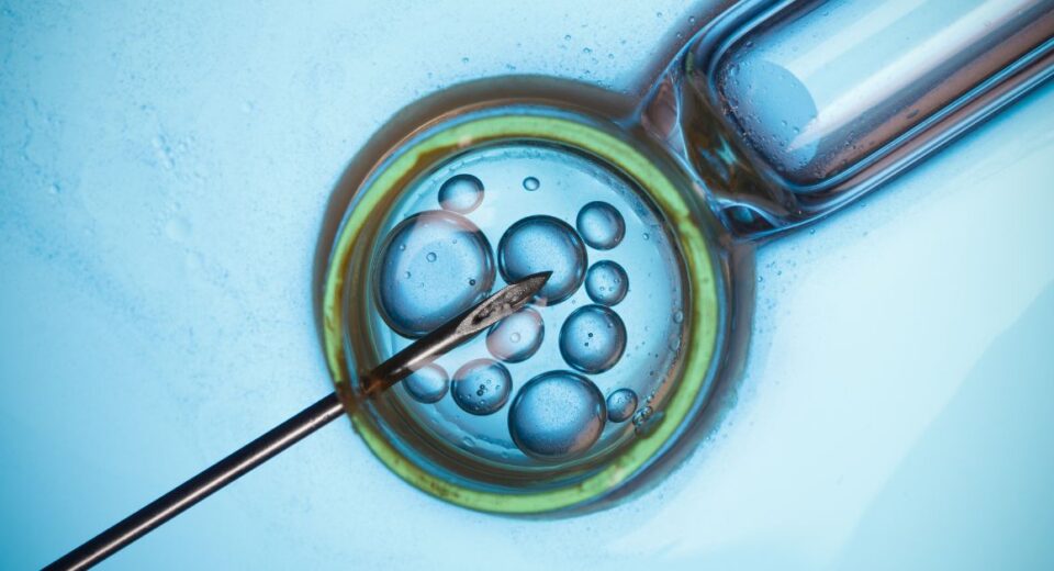 kensington hospital johor ivf