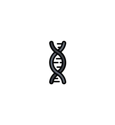 Stem Cell Therapy