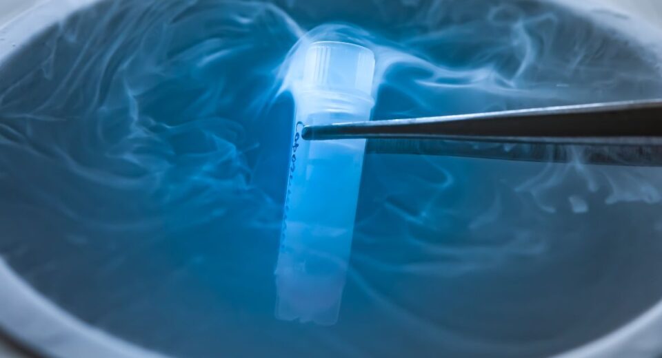 freezing eggs