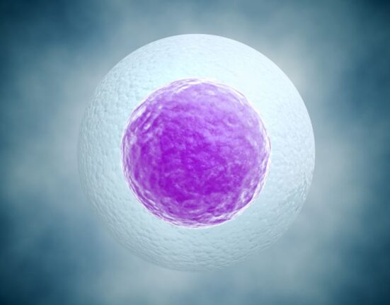 egg freezing thailand cost