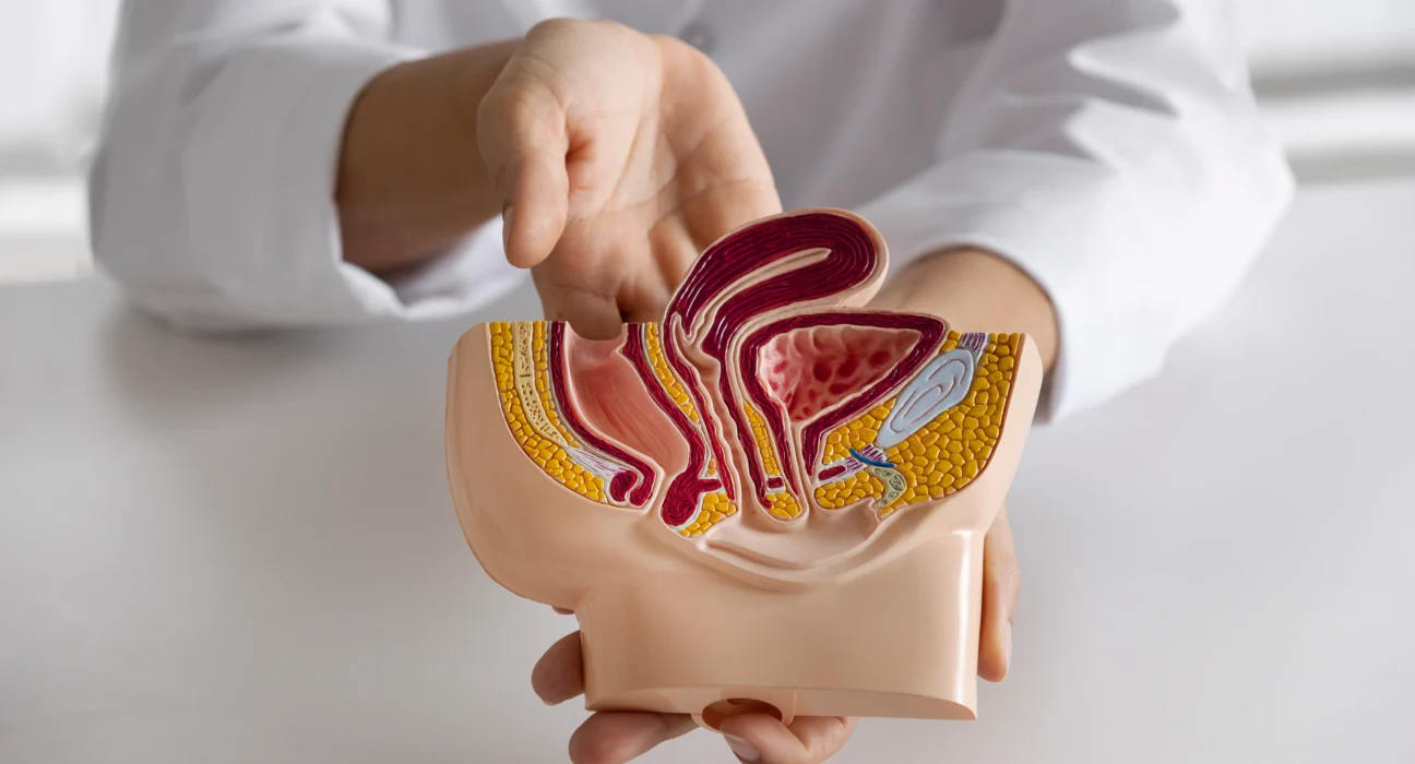 image of Colorectal Cancer Screening Myths