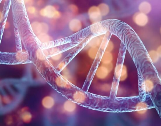 stem cell therapy
