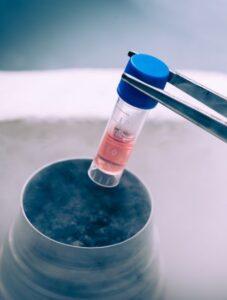 Stem Cell Big Story Feed - Grid