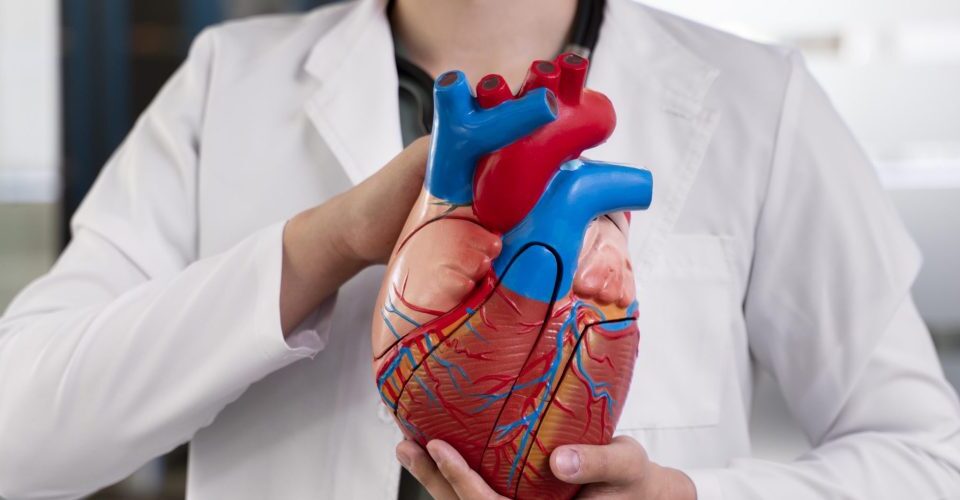 cardiologist kuala lumpur