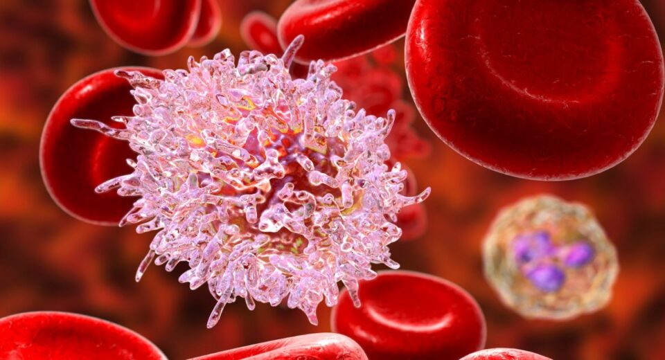 stem cell therapy for cancer