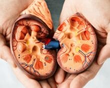 iga nephropathy treatment