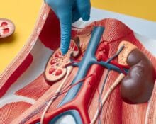 kidney transplant cost in singapore