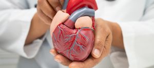 Heart, Brain & Vascular Channel