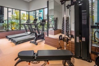 Weave Living Gym