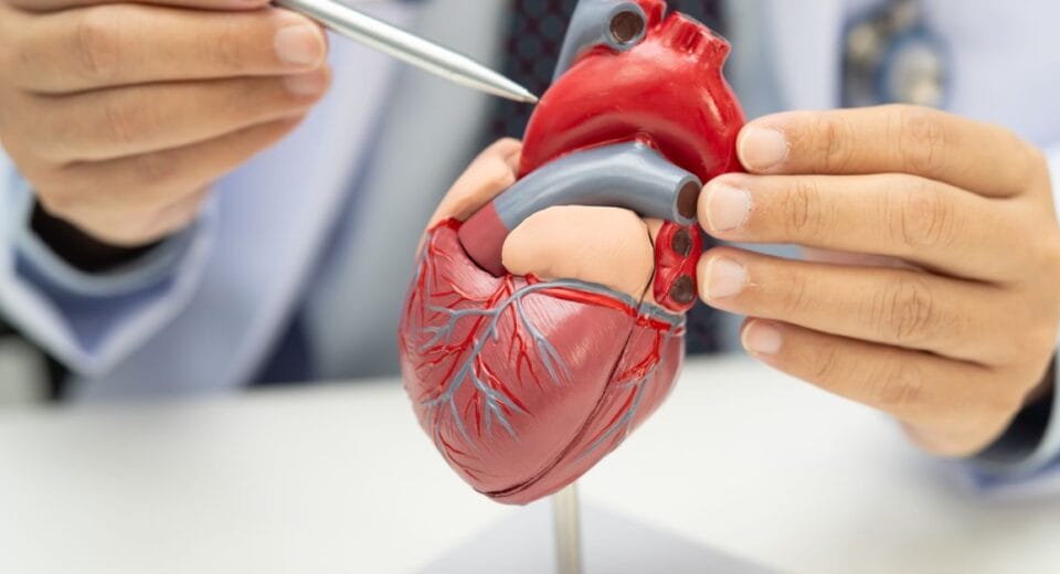 coronary artery bypass graft procedure