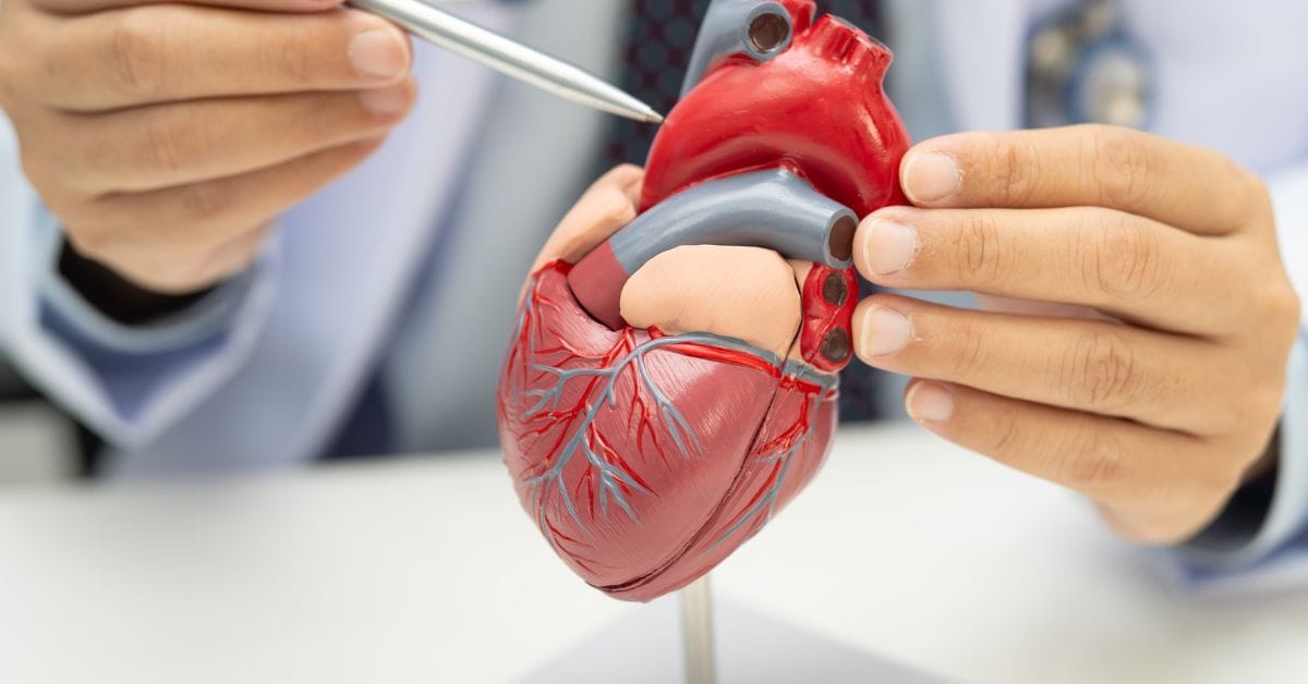 coronary artery bypass graft procedure