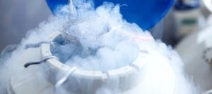 egg freezing