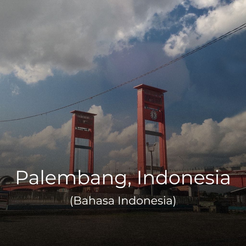 Healthcare in Palembang, Indonesia