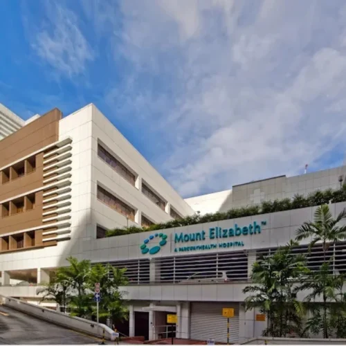 Mount Elizabeth Hospital