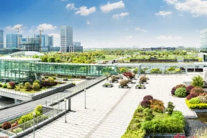 residence or commercial landscape